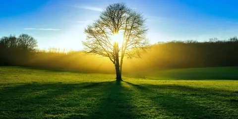122222.webp.jpg