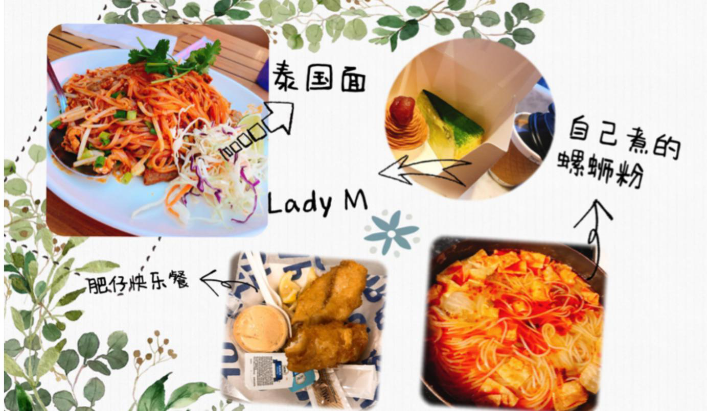 杨图片2.png